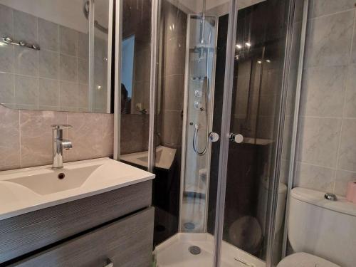 une salle de bain avec une douche, un lavabo et des toilettes dans l'établissement Appartement bord de mer avec terrasse, parking, animaux acceptés - FR-1-387-215, à Marseillan