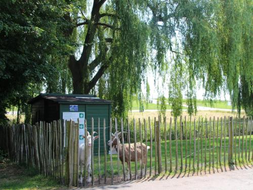 Gallery image of Holiday Home in Zevenhuizen with Sauna, cleaning included in Zevenhuizen