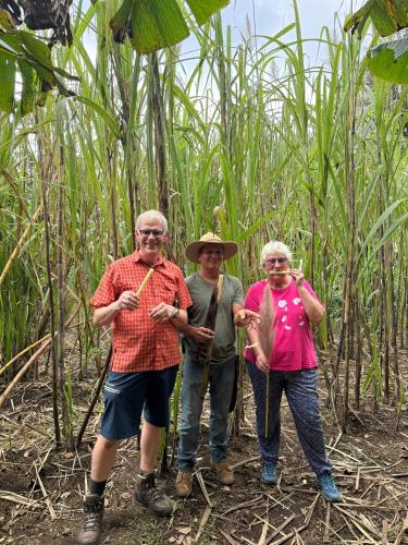 a group of three people standing in a corn field at Campo Azul #3 - Monteverde in Monteverde Costa Rica