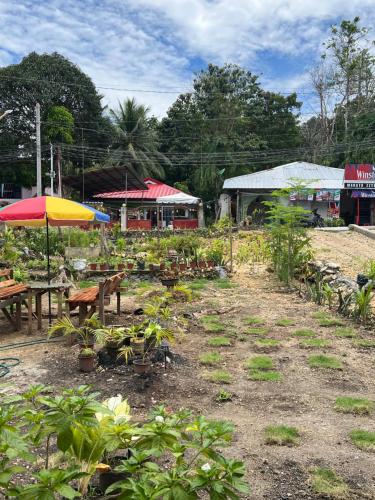 Zahrada ubytování Isla Cove Guest House