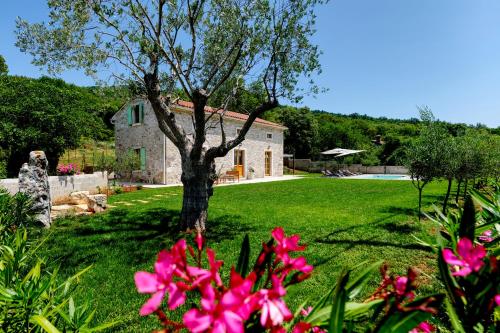 una casa con un árbol en un patio con flores rosas en Casa Škitaconka, en Koromačno