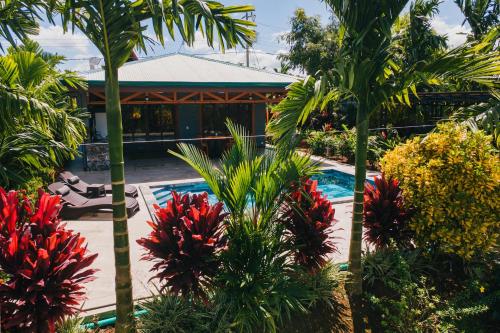 Πισίνα στο ή κοντά στο Kaluma Macaw Farmstay Villa