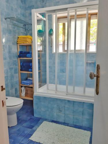 a blue tiled bathroom with a shower and a toilet at Valença Guesthouse in Valença