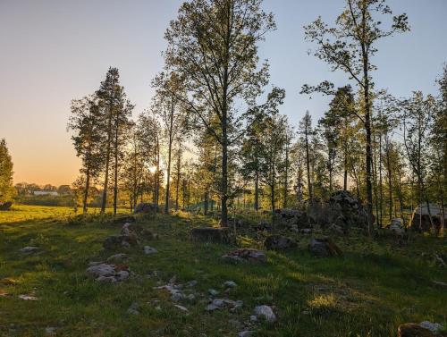 a field with trees and rocks in the grass at Cozy countryside Appartment in Örebro