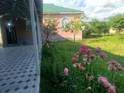 a house with pink flowers in the yard at Gabala Home in Gabala