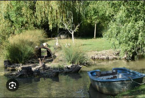 a boat sitting in the water in a field at Gite Rive Charente Le Bateau in Bords