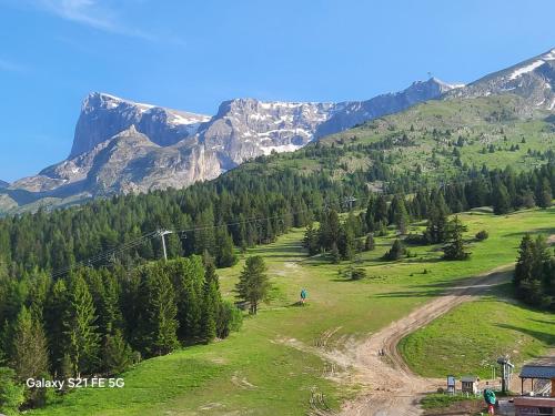 a green field with trees and mountains in the background at VACANCES à SUPERDEVOLUY hautes Alpes 05250 in Superdevoluy