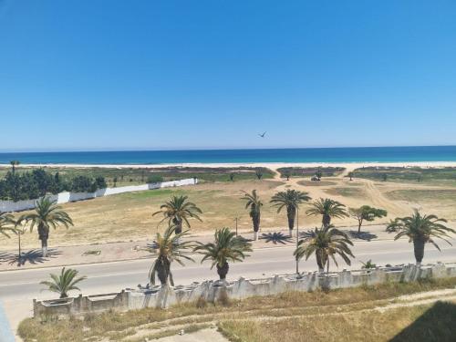 a view of a beach with palm trees and the ocean at Bel appartement face à la méditerranée in Bizerte