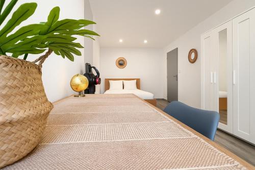 a long table with a plant in a room at Le Vosgien - Hyper center - Calme - Wifi - Spacieux in Épinal