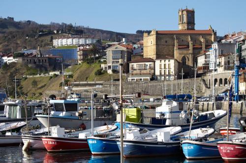 a bunch of boats are docked in a harbor at Katrapona in Getaria