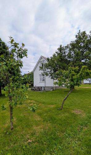 Příroda nedaleko bed and breakfast