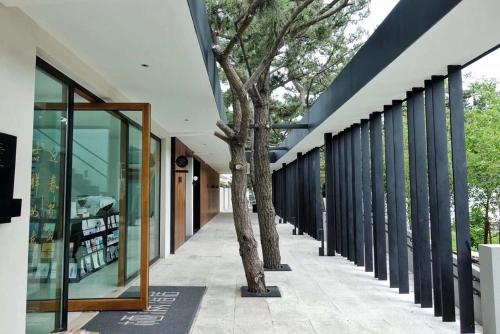 a row of trees on a sidewalk next to a building at 朴宿栖澜海居崂山风景区店 in Qingdao