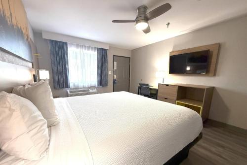 a hotel room with a white bed and a flat screen tv at Days Inn by Wyndham Yuma in Yuma