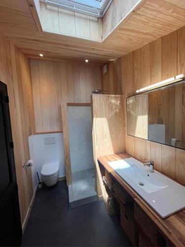 une salle de bain avec un lavabo, une douche et des toilettes dans l'établissement La cabane de lesquirey, à La Celle-sous-Gouzon