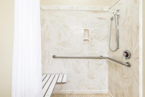 a shower in a bathroom with a marble wall at Ramada by Wyndham College Station in College Station