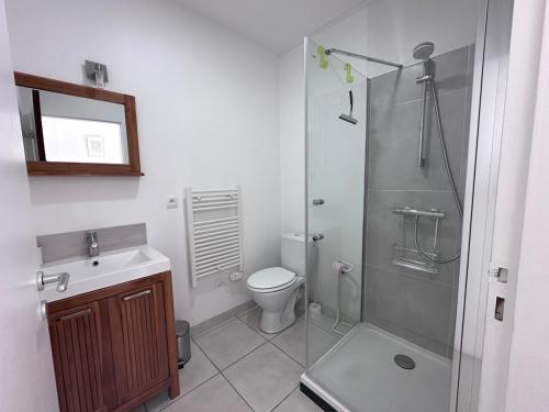 a bathroom with a shower and a toilet and a sink at T2 dans villa plain-pied avec parking privé in Canet-en-Roussillon