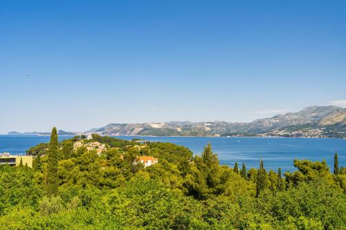 a house on a hill next to a body of water at Villa Alegria Cavtat in Cavtat