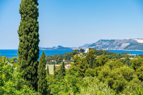 a view of a forest of trees and the ocean at Villa Alegria Cavtat in Cavtat