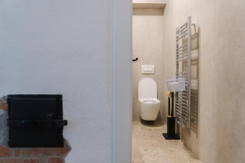 a bathroom with a toilet in a room at Lilija apartments in Trzin