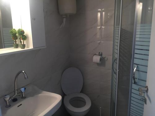 a bathroom with a toilet and a sink and a shower at Tzakis Studios Lassi in Argostoli