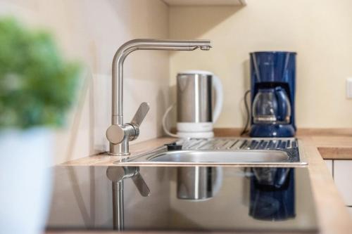 a kitchen sink with a faucet on a counter at Komfort Apartment Römersberger - 6 in Vogtareuth