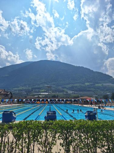 a group of people swimming in a swimming pool at Portico 32 - Merano centro in Merano