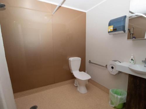 a bathroom with a toilet and a sink at The Eco Lodge - TSB Topec outdoor pursuits centre in Hillsborough