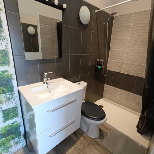 une salle de bain avec un lavabo, des toilettes et une douche dans l'établissement Charmante maison en Provence, à Châteaurenard