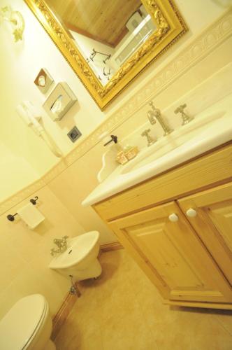 a bathroom with a toilet and a sink and a mirror at Hotel Al Forte in Arabba