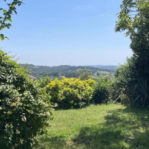 a field of grass with bushes and trees at Gite Des Cimes in Baigts-de-Béarn