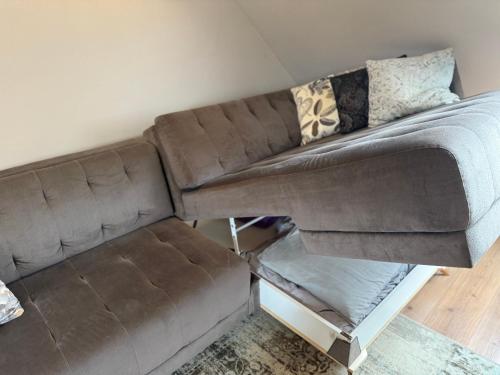 a brown couch sitting in a living room at Vila Preiloja in Neringa