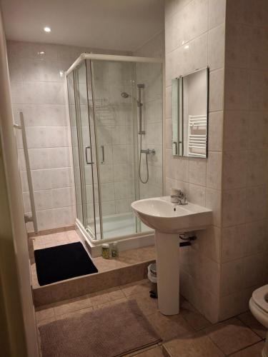 une salle de bain avec un lavabo et une douche dans l'établissement LES VOLETS VERTS 'The Green Shutters', à Roussines