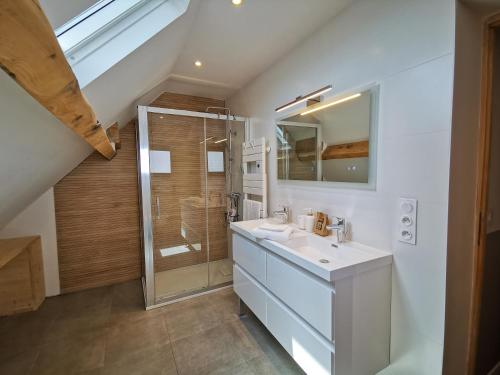 une salle de bain avec un lavabo et une douche dans l'établissement Sol i Munt Cerdanya, à Enveitg