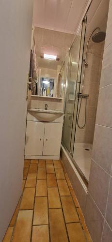 une salle de bain avec un lavabo et une douche dans l'établissement Bleues Marines studio piscine, à Antibes