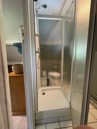 une douche avec une porte vitrée dans une salle de bain dans l'établissement Chalet de l'Yeres, à Canehan