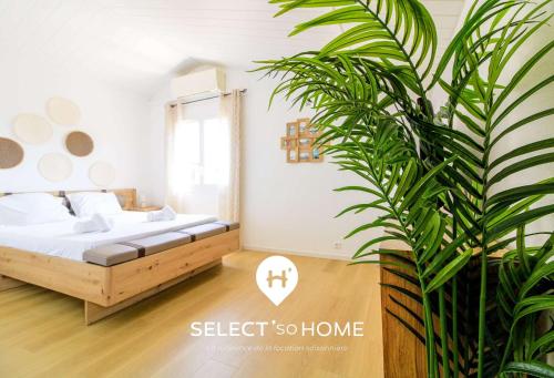 une chambre avec un lit et une plante en pot dans l'établissement SELECT'soHOME - Jolie maison pour 6 personnes avec jardin - MAISON OASIS, à Bormes-les-Mimosas