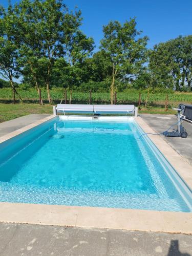 une piscine avec de l'eau bleue dans une cour dans l'établissement Maison 9 personnes pour les événements sportifs, à Laigné-en-Belin