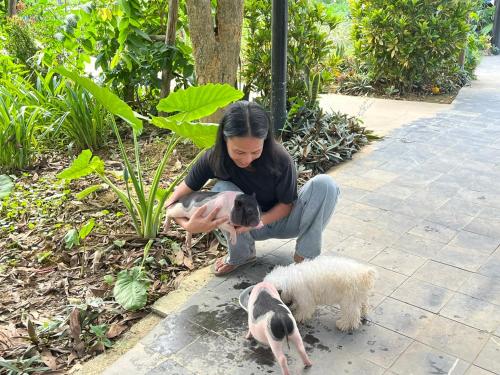a man kneeling down next to two small dogs at Nguyen Shack Retreat Resort in Phong Nha