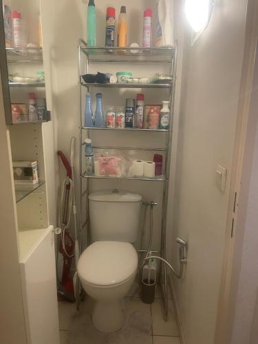 Elle comprend une petite salle de bains pourvue de toilettes et d'étagères. dans l'établissement T2 lumineux et tout équipé proche stade vélodrome, à Marseille