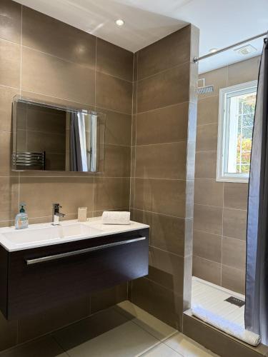 une salle de bain avec un lavabo et un miroir dans l'établissement T4 Cote Plage N6 face a la mer, à Pinarellu