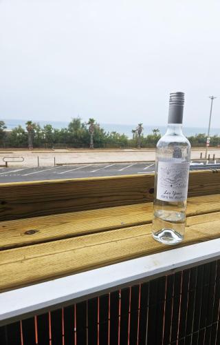 Face à la mer appartement vue mer Portiragnes plage proche Cap d'agde Vias Valras-plage Méditérranée