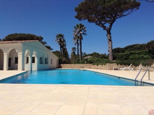 - une piscine avec une maison et des palmiers dans l'établissement Villa les Vignes Basses - Saint Tropez, à Saint-Tropez