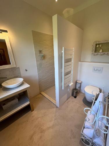 une salle de bain avec une douche, des toilettes et un lavabo dans l'établissement Mas aux gourmandises, à Oppède