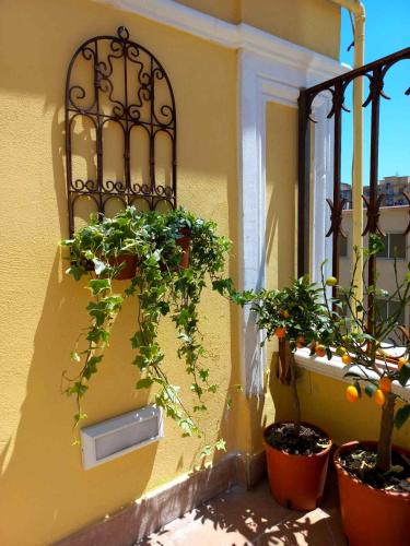 a yellow wall with potted plants and a window at MinaMare Vacation Home in Torre Annunziata