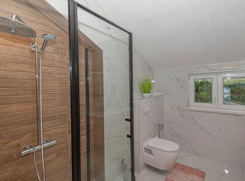 a bathroom with a shower and a toilet at Villa Maria with Outdoor Pool in Drniš