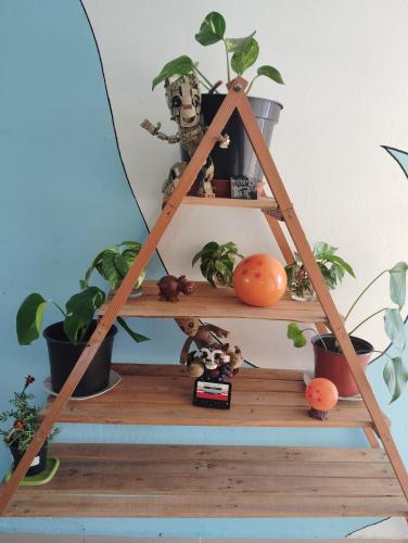 a shelf with potted plants on it at La chambre zen in Saint-André