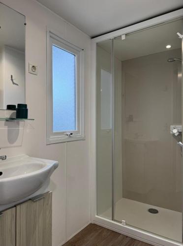une salle de bain avec un lavabo et une douche en verre dans l'établissement Vista Mare , Cap corse, à Meria