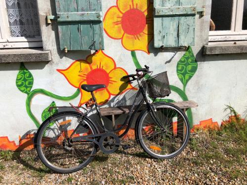 パンマールにあるAuberge du Lama Zébré mixteの花の壁前に駐輪