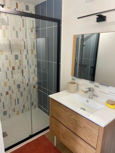 une salle de bain avec un lavabo et une douche dans l'établissement Charmante maison proche de la mer à Locquémeau, à Locquémeau