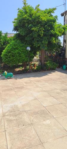 a toy laying on the ground in a park with a tree at Casa carmela in Augusta